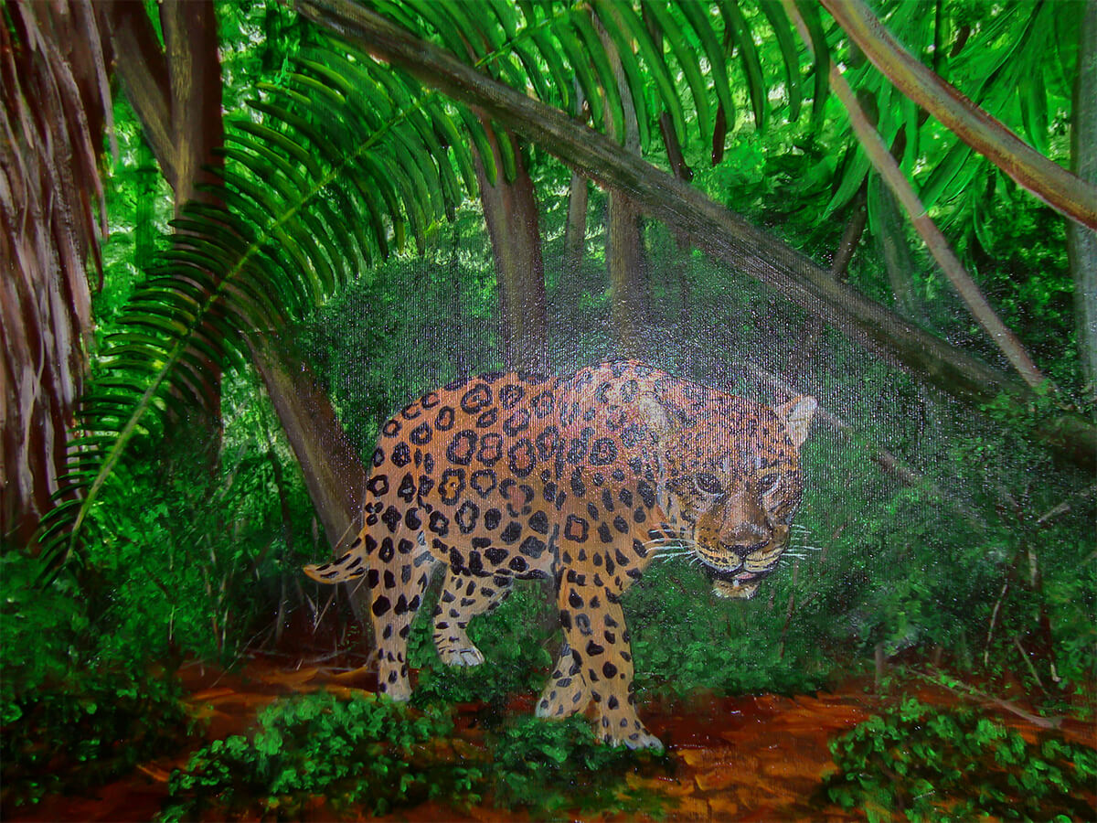 Jaguars Home