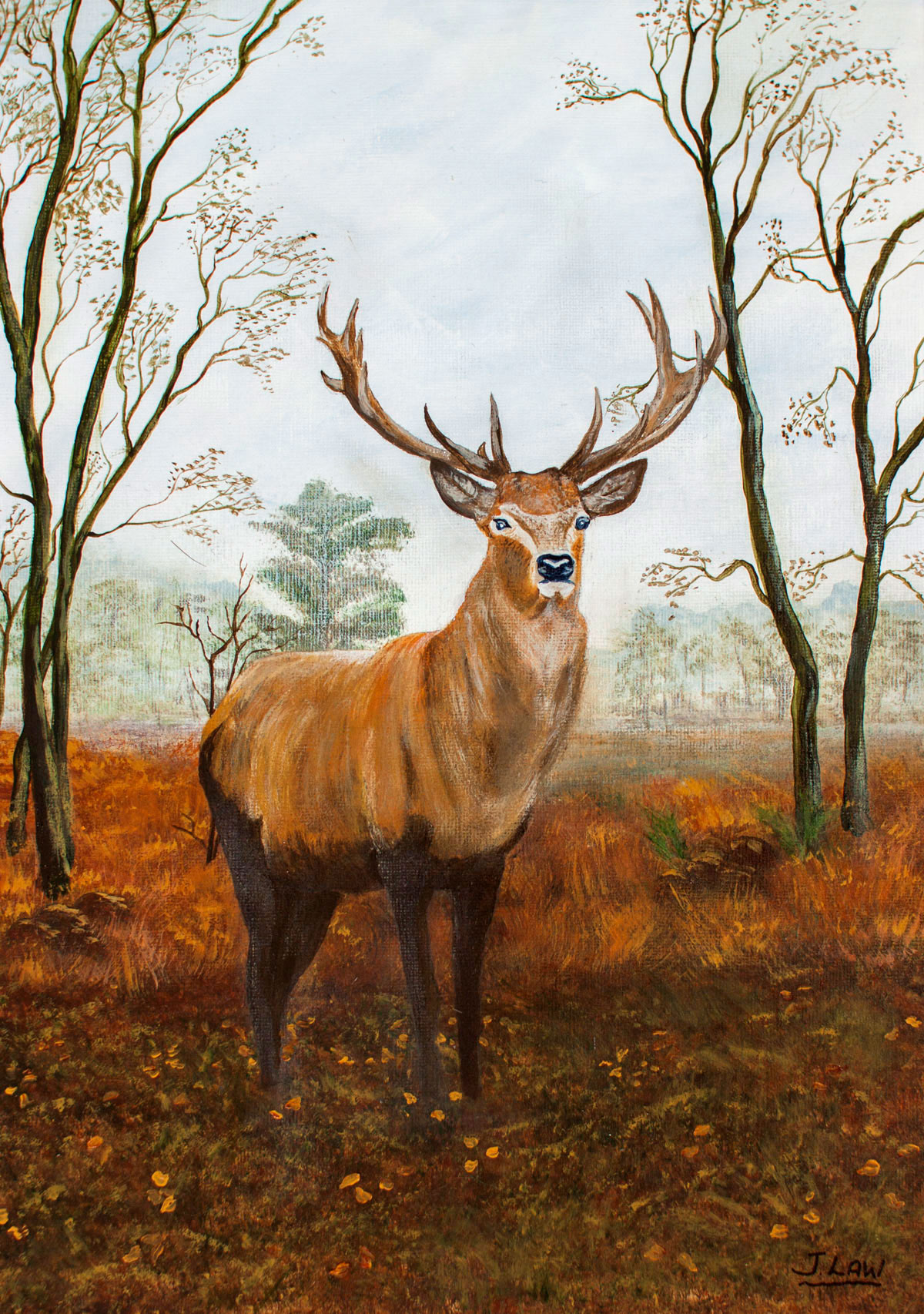 Autumn stag