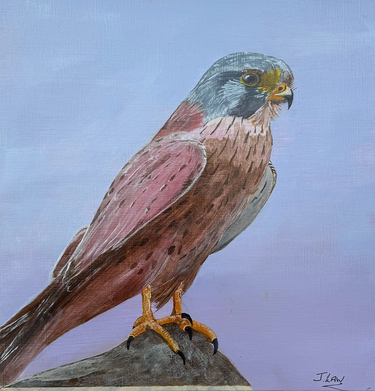 Kestrel Perch